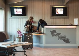 Hôtel Restaurant & Spa Plaisir 3