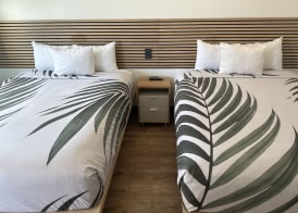 Sway Hotel Lake Havasu 4