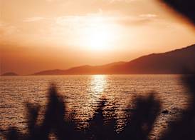 Sofitel Golfe d'Ajaccio Thalassa Sea & Spa 5