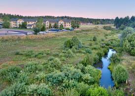 Hampton Inn & Suites Show Low-Pinetop 3