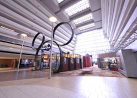 Disney's Contemporary Resort 2
