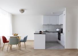 Nest- Badenerstrasse 4