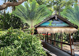Airlie Beach Magnums - Adults Only 2
