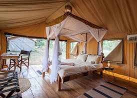 Baobab Tented Camp 4