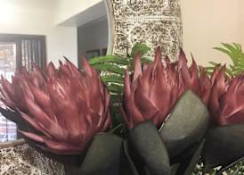 Buya Futhi Bed & Breakfast 2
