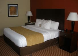 Comfort Inn & Suites 5