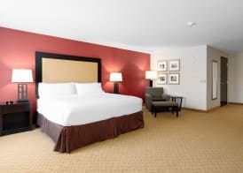 Holiday Inn TEMPLE-BELTON by IHG 5