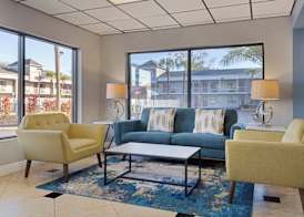 Hotel South Tampa & Suites 4