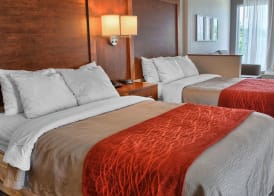 Comfort Inn Ruther Glen near Kings Dominion 5