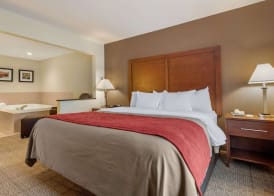 Comfort Inn Warren I-69 3