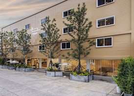 Bedline Hotel - SHA Certified 3