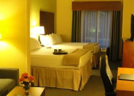Holiday Inn Express & Suites ATLANTA EAST - LITHONIA by IHG 4