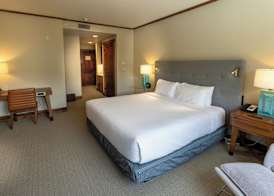 Hyatt Centric Park City 5