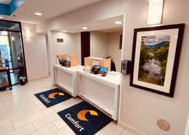 Comfort Inn & Suites Troutville-Roanoke North 4