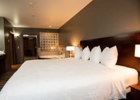 Best Western Plus Plattsburgh 5