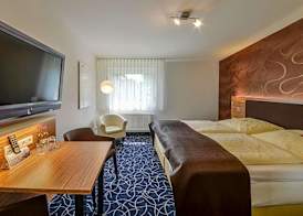 Hotel Gasthof Handewitt 5