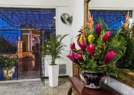 Hotel Dorado Plaza Centro Histórico 2