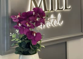 Old Mill Hotel & Lodge 2
