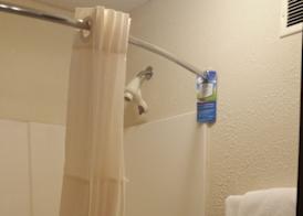 Baymont by Wyndham Tuscola 5
