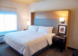 Holiday Inn & Suites SAVANNAH AIRPORT - POOLER by IHG 4