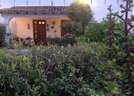 B&B Il Giardino Degli Agrumi 2