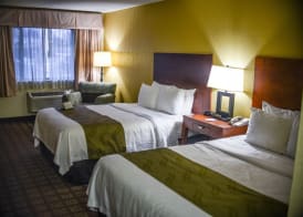 Quality Inn & Suites Northampton - Amherst 4