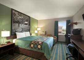 Super 8 by Wyndham Tuscola 3