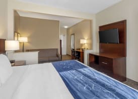 Comfort Suites Normal University area 5