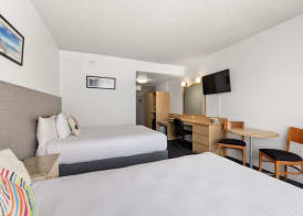 Zebra Motel 4