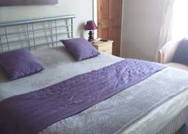 Bryn Coed Guest House 3