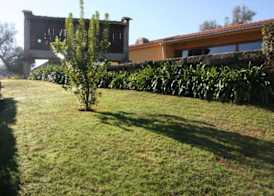 Hotel Rural de Charme Maria da Fonte 3