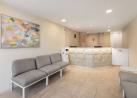 Marinell Collection Palm-Mar 3
