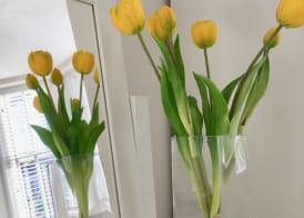Netley Village Apartment 2