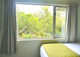 Franz Josef Treetops 4