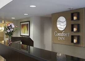 Comfort Inn 3