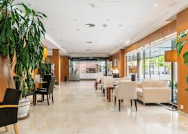 Sercotel de los Reyes 5