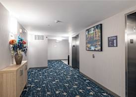 Hilton Garden Inn Albany, GA 4