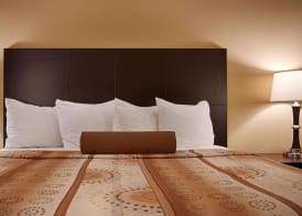 Best Western Plus Royal Mountain Inn & Suites 5