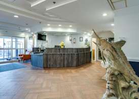 Paradise Plaza Inn 2