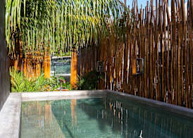 Aroma Tulum 5