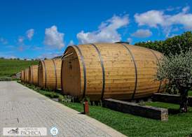 Pacheca The Wine House Hotel e Spa - Quinta da Pacheca 4