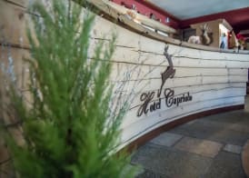 Hotel Capriolo 3