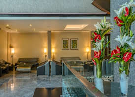 The Mirador 3