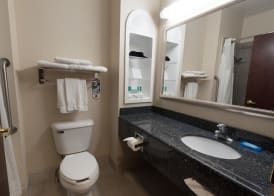Holiday Inn Express & Suites NORTH EAST (ERIE I-90 EXIT 41) by IHG 4