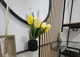 B&B Green 5