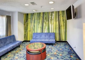 Rodeway Inn & Suites Lewisville I-35 3
