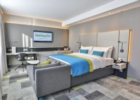 Holiday Inn VILLINGEN - SCHWENNINGEN by IHG 3