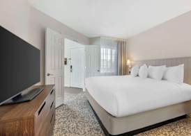 Sonesta ES Suites Dulles Airport 5