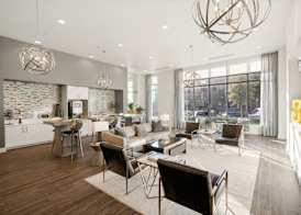 Kasa Arlington Dallas 2