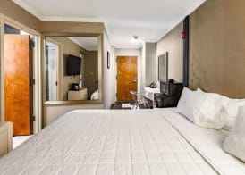 Umbrella Hotel Brooklyn - Newly Renovated 3